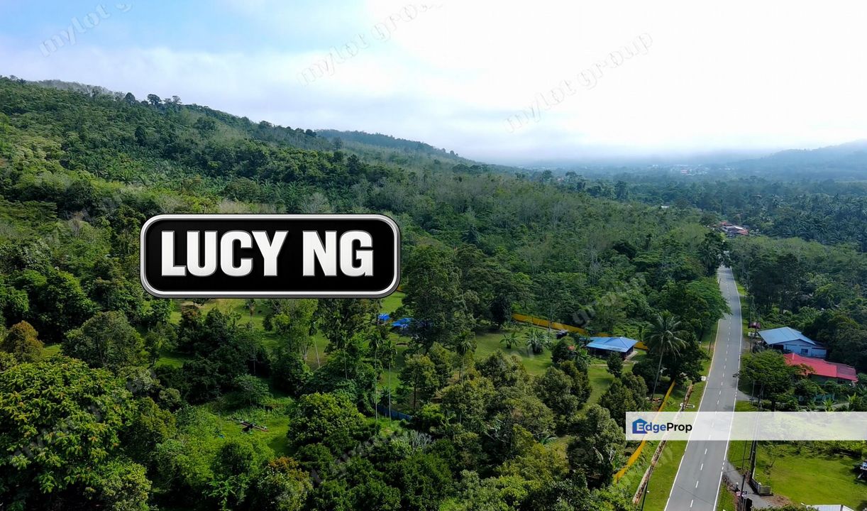 Affordable Price | Agricultural Land | Pengkalan Hulu | Perak t, Perak, Hulu Perak