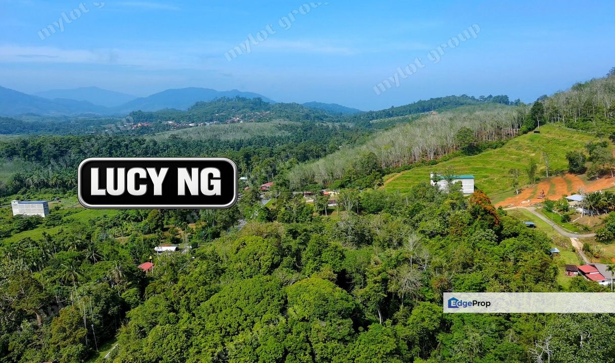 Affordable Price | Agricultural Land | Pengkalan Hulu | Perak t, Perak, Hulu Perak