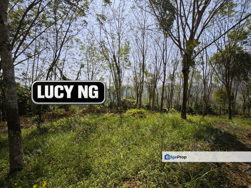 The Cheapest Price  | Agricultural Land | Pengkalan Hulu | Perak t, Perak, Hulu Perak