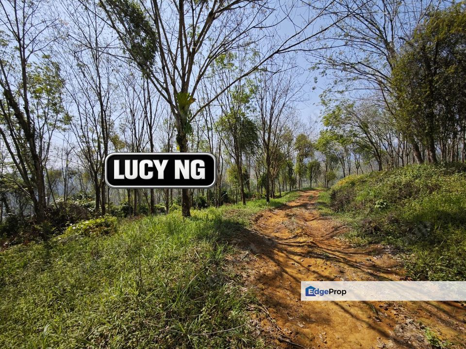 The Cheapest Price  | Agricultural Land | Pengkalan Hulu | Perak t, Perak, Hulu Perak