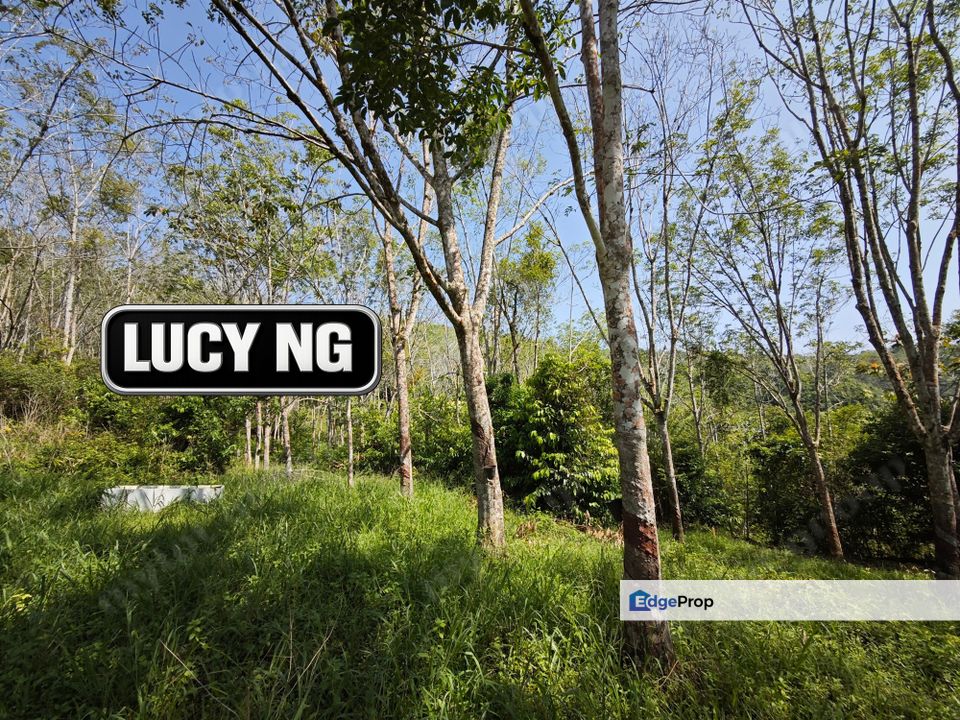 The Cheapest Price  | Agricultural Land | Pengkalan Hulu | Perak t, Perak, Hulu Perak