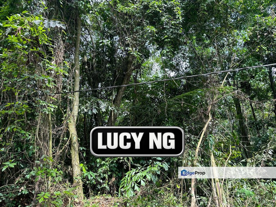 𝟐.𝟔 𝐚𝐜𝐫𝐞𝐬 | 𝐀𝐠𝐫𝐢𝐜𝐮𝐥𝐭𝐮𝐫𝐚𝐥 𝐋𝐚𝐧𝐝 | 𝐅𝐥𝐚𝐭 𝐋𝐚𝐧𝐝 | 𝐉𝐮𝐧𝐣𝐮𝐧𝐠 | 𝐊𝐞𝐝𝐚𝐡 , Kedah, Kulim