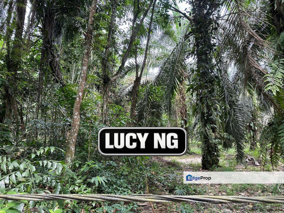 𝟐.𝟔 𝐚𝐜𝐫𝐞𝐬 | 𝐀𝐠𝐫𝐢𝐜𝐮𝐥𝐭𝐮𝐫𝐚𝐥 𝐋𝐚𝐧𝐝 | 𝐅𝐥𝐚𝐭 𝐋𝐚𝐧𝐝 | 𝐉𝐮𝐧𝐣𝐮𝐧𝐠 | 𝐊𝐞𝐝𝐚𝐡 , Kedah, Kulim