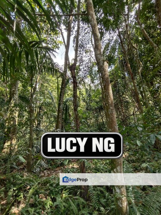 𝟐.𝟔 𝐚𝐜𝐫𝐞𝐬 | 𝐀𝐠𝐫𝐢𝐜𝐮𝐥𝐭𝐮𝐫𝐚𝐥 𝐋𝐚𝐧𝐝 | 𝐅𝐥𝐚𝐭 𝐋𝐚𝐧𝐝 | 𝐉𝐮𝐧𝐣𝐮𝐧𝐠 | 𝐊𝐞𝐝𝐚𝐡 , Kedah, Kulim