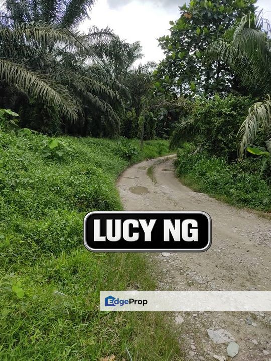 𝟐.𝟔 𝐚𝐜𝐫𝐞𝐬 | 𝐀𝐠𝐫𝐢𝐜𝐮𝐥𝐭𝐮𝐫𝐚𝐥 𝐋𝐚𝐧𝐝 | 𝐅𝐥𝐚𝐭 𝐋𝐚𝐧𝐝 | 𝐉𝐮𝐧𝐣𝐮𝐧𝐠 | 𝐊𝐞𝐝𝐚𝐡 , Kedah, Kulim