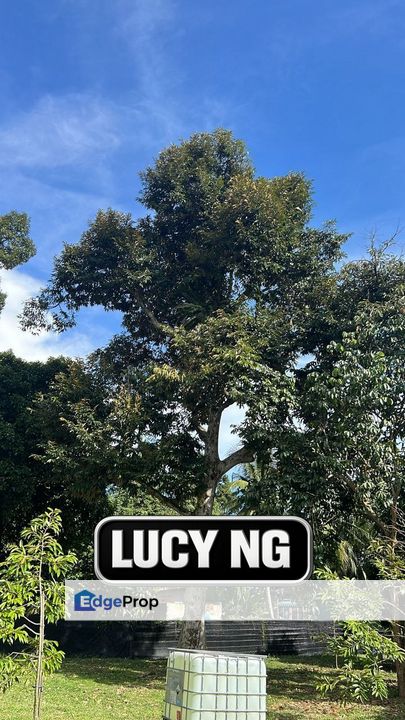 0.9554 acre | Durian Farm with Kampung House | Sungai Bakap  | Jawi | Penang b, Penang, Sungai Bakap 