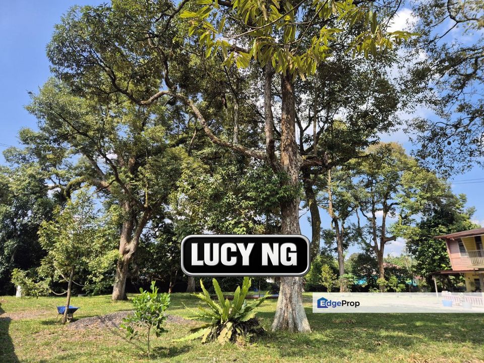 0.9554 acre | Durian Farm with Kampung House | Sungai Bakap  | Jawi | Penang b, Penang, Sungai Bakap 