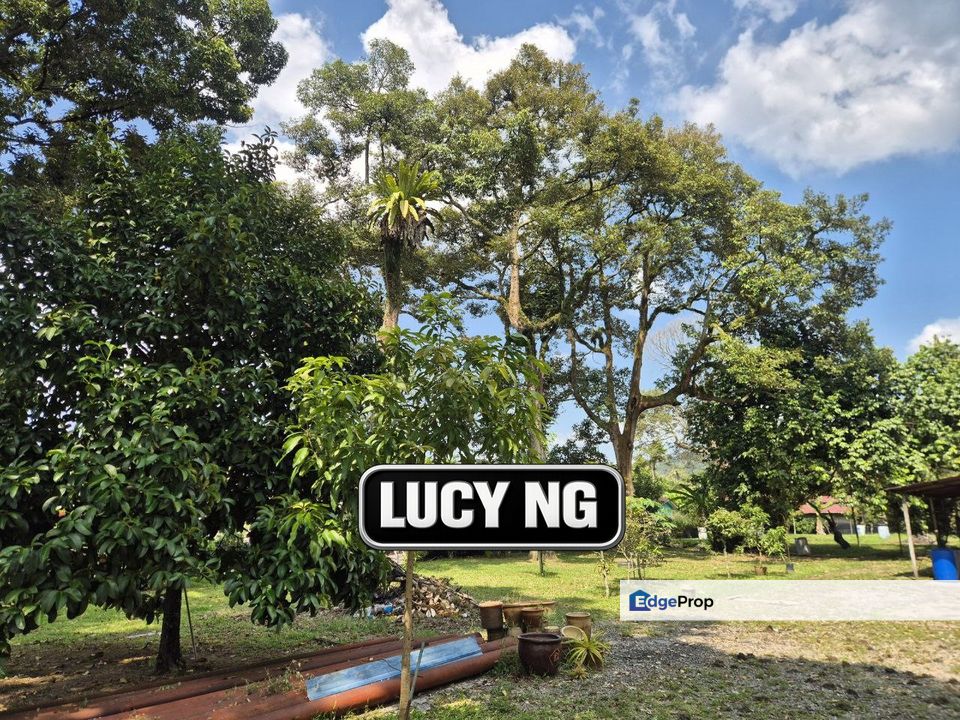 0.9554 acre | Durian Farm with Kampung House | Sungai Bakap  | Jawi | Penang b, Penang, Sungai Bakap 