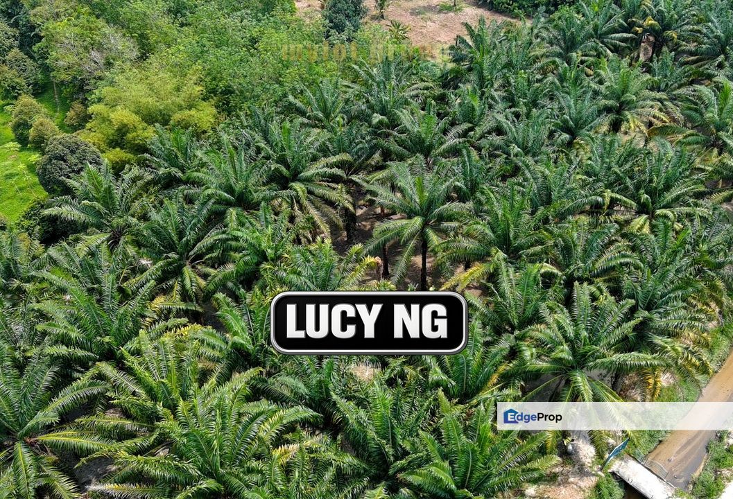 1.28 acres| Agricultural Land | Bukit Teh | Bukit Mertajam | Penang t, Penang, Bukit Mertajam