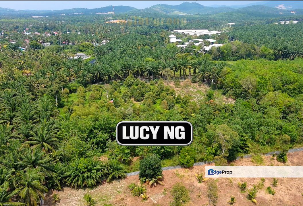 1.28 acres| Agricultural Land | Bukit Teh | Bukit Mertajam | Penang t, Penang, Bukit Mertajam