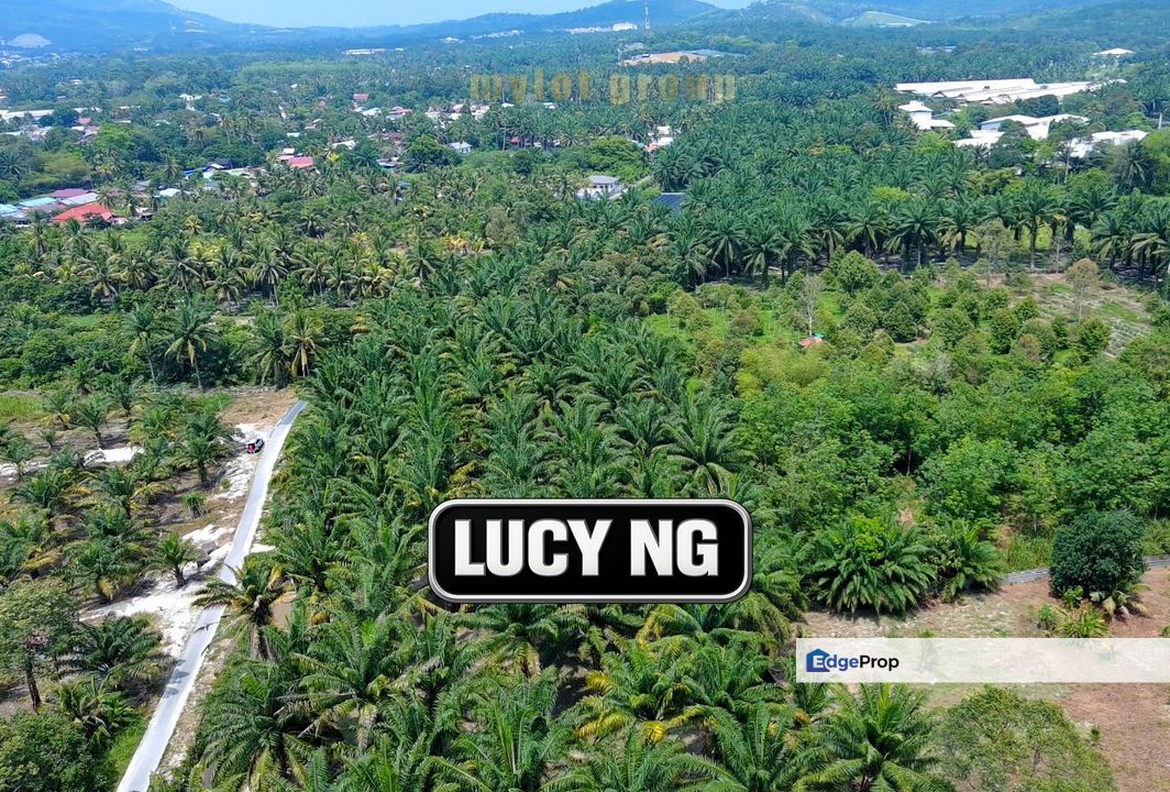 1.28 acres| Agricultural Land | Bukit Teh | Bukit Mertajam | Penang t, Penang, Bukit Mertajam