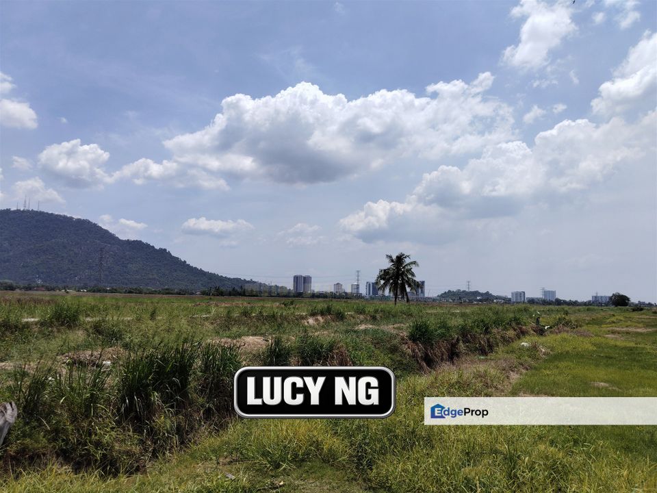 2.47 acres | Paddy Field | Agricultural Land | Permatang Pauh | Bukit Mertajam | Penang, Penang, Permatang Pauh