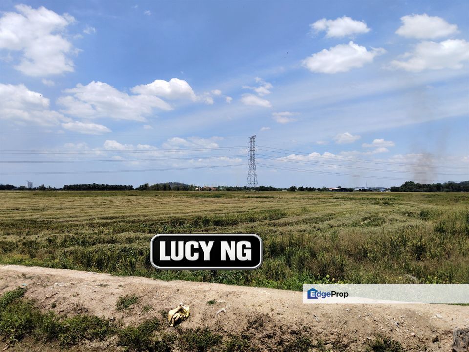 2.47 acres | Paddy Field | Agricultural Land | Permatang Pauh | Bukit Mertajam | Penang, Penang, Permatang Pauh