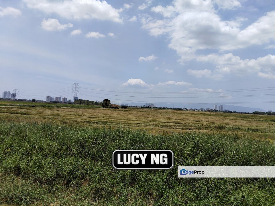 2.47 acres | Paddy Field | Agricultural Land | Permatang Pauh | Bukit Mertajam | Penang, Penang, Permatang Pauh
