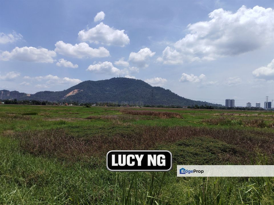 2.47 acres | Paddy Field | Agricultural Land | Permatang Pauh | Bukit Mertajam | Penang, Penang, Permatang Pauh