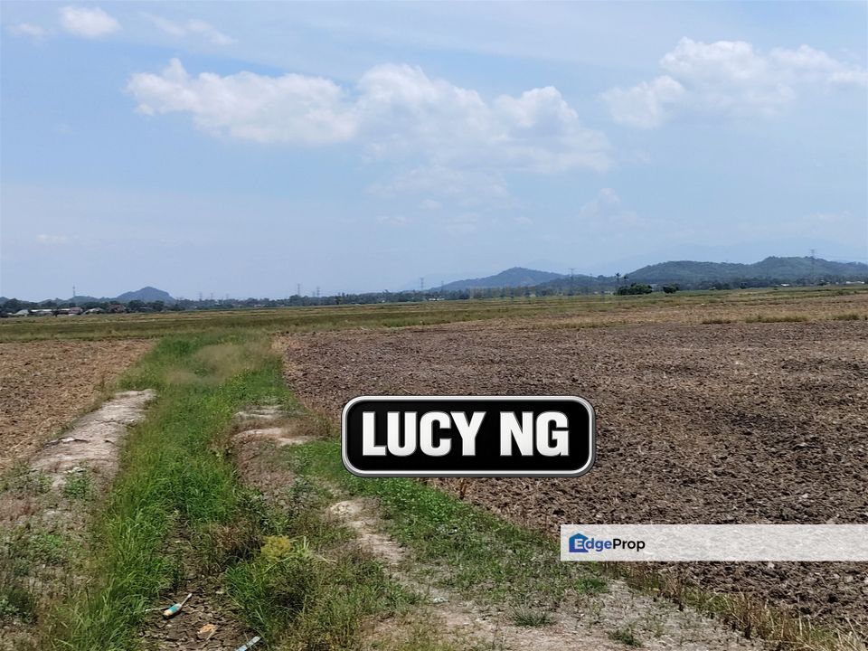 1.206 acres | Paddy Field | Agricultural Land | Permatang Pauh | Bukit Mertajam | Penang , Penang, Permatang Pauh