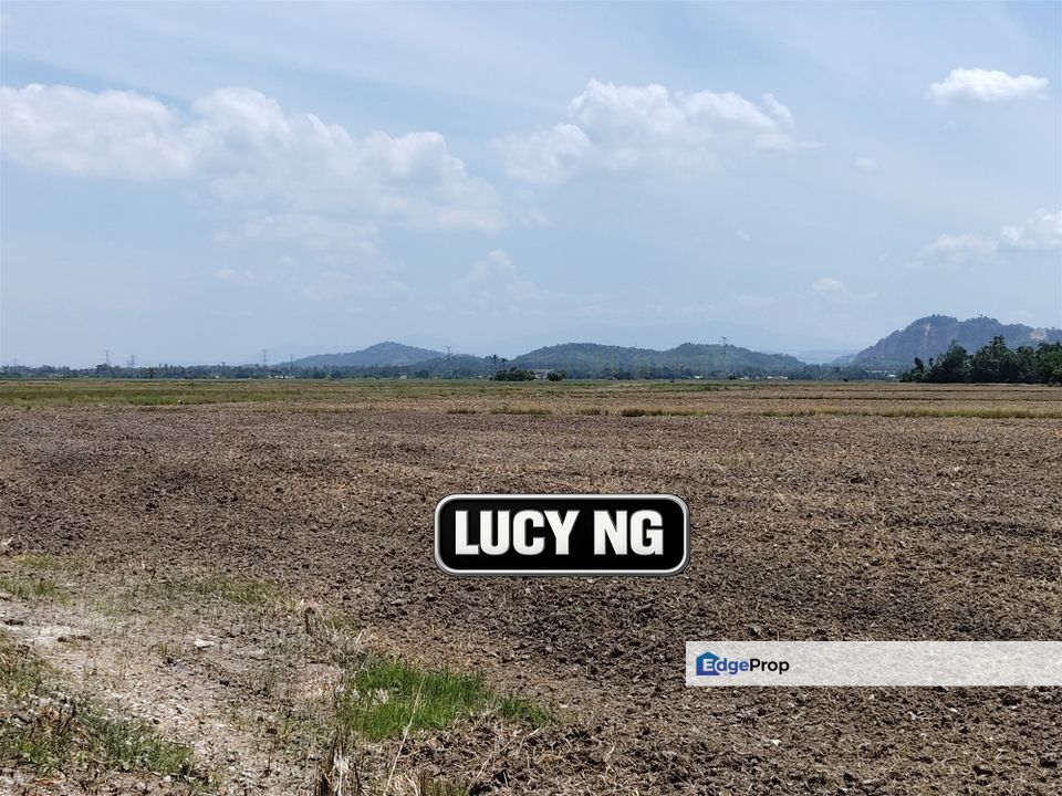 1.206 acres | Paddy Field | Agricultural Land | Permatang Pauh | Bukit Mertajam | Penang , Penang, Permatang Pauh