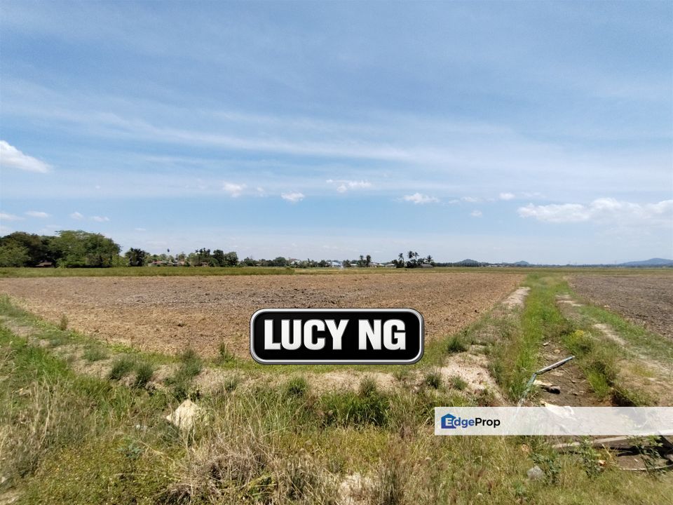 1.206 acres | Paddy Field | Agricultural Land | Permatang Pauh | Bukit Mertajam | Penang , Penang, Permatang Pauh