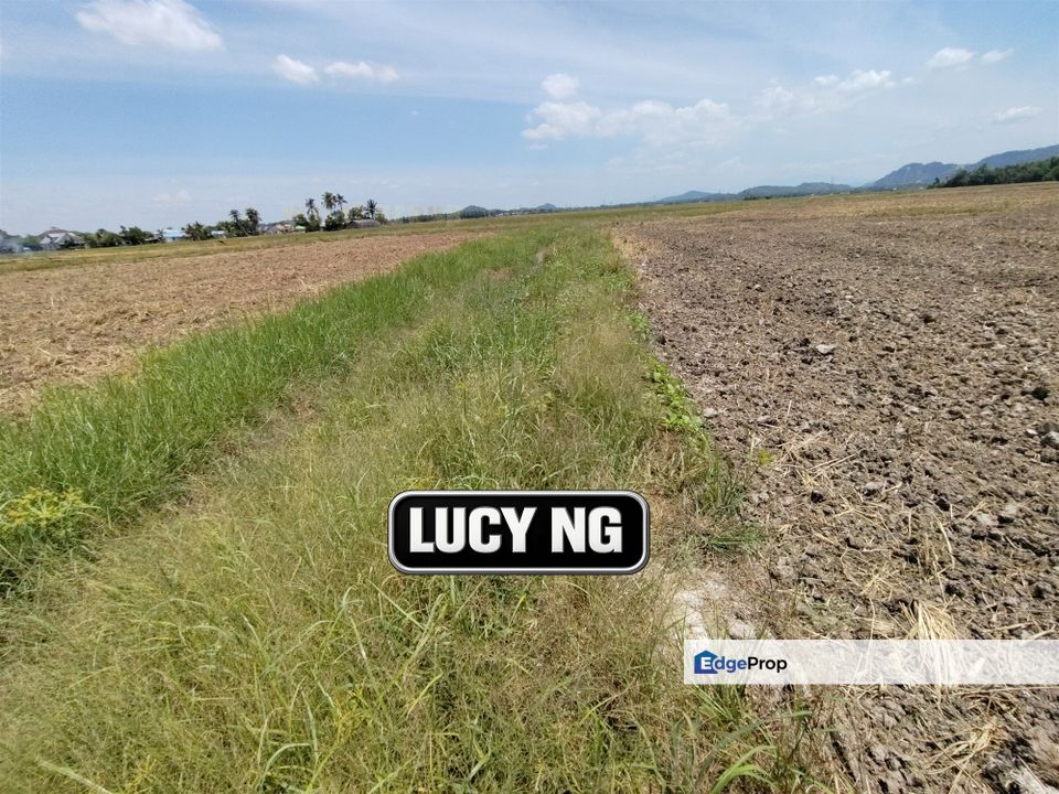 1.206 acres | Paddy Field | Agricultural Land | Permatang Pauh | Bukit Mertajam | Penang , Penang, Permatang Pauh