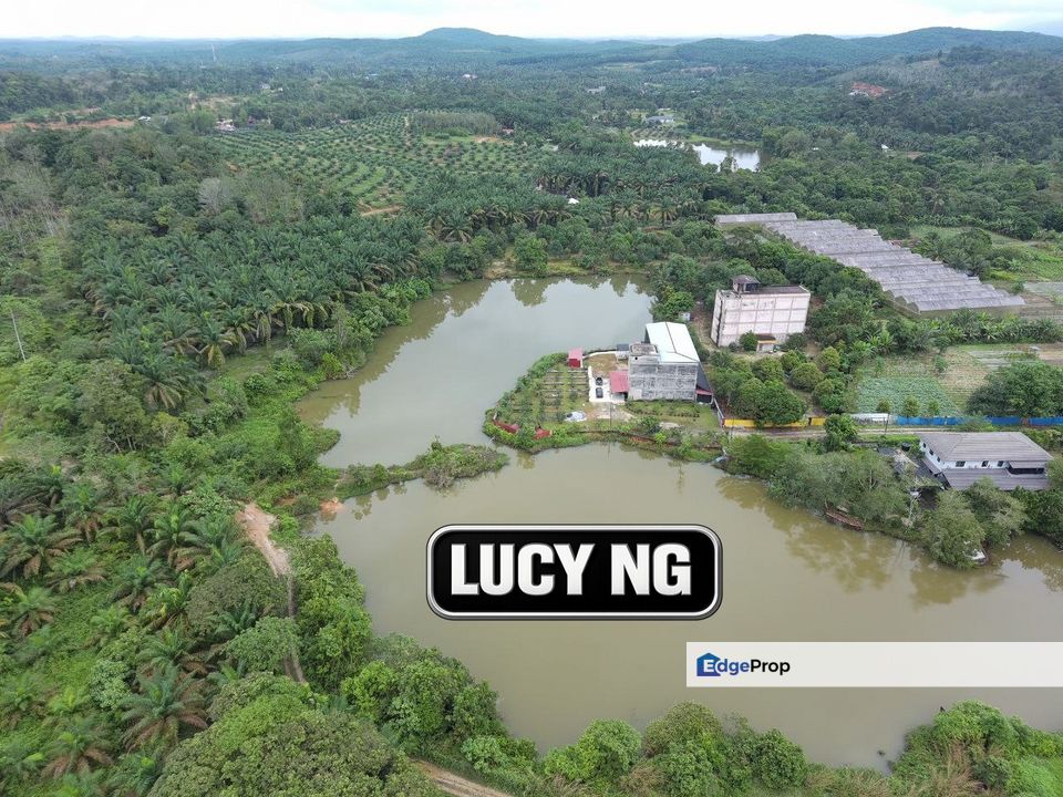 A ready income-generating farm with peaceful surroundings | Karangan | Kulim | Kedah b, Kedah, Kulim