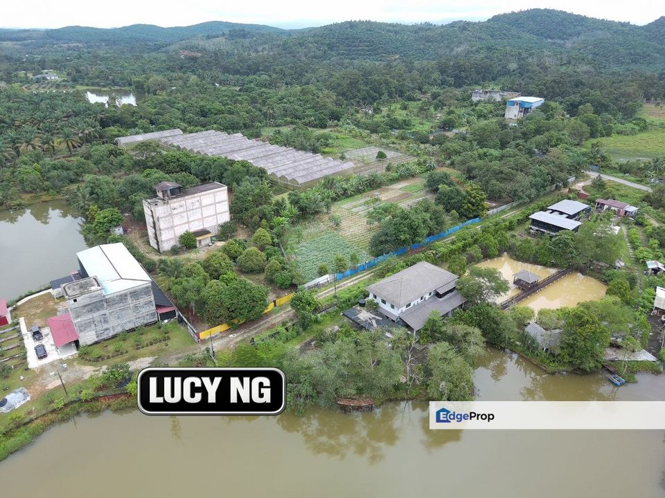 A ready income-generating farm with peaceful surroundings | Karangan | Kulim | Kedah b, Kedah, Kulim