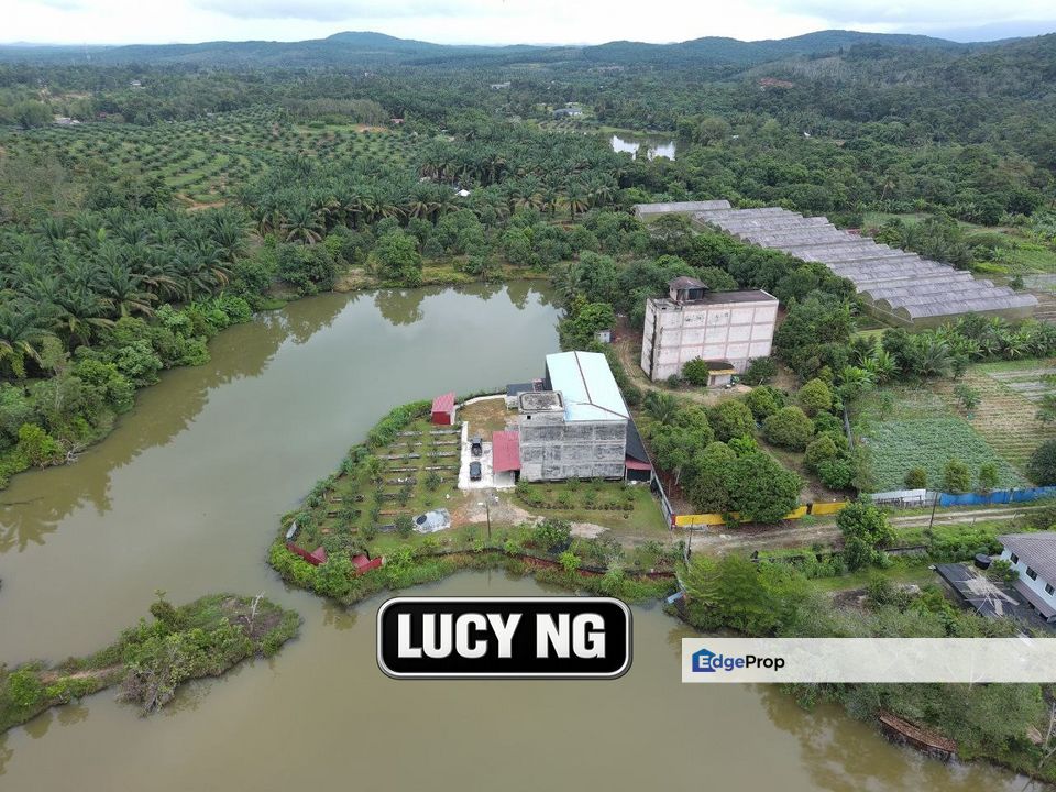 A ready income-generating farm with peaceful surroundings | Karangan | Kulim | Kedah b, Kedah, Kulim