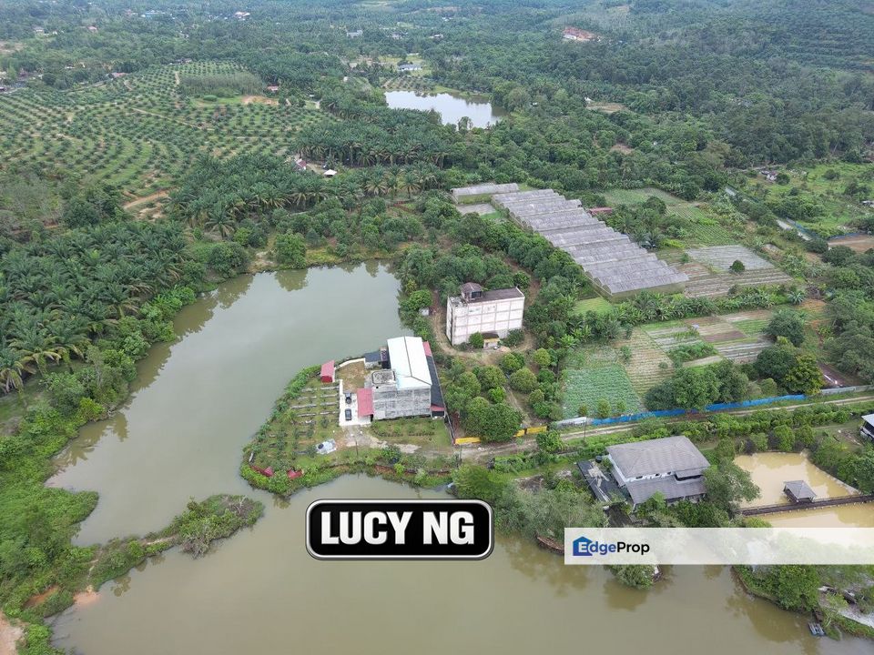 A ready income-generating farm with peaceful surroundings | Karangan | Kulim | Kedah b, Kedah, Kulim