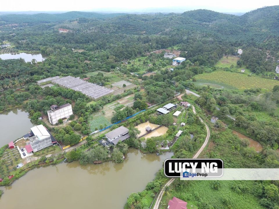 A ready income-generating farm with peaceful surroundings | Karangan | Kulim | Kedah b, Kedah, Kulim
