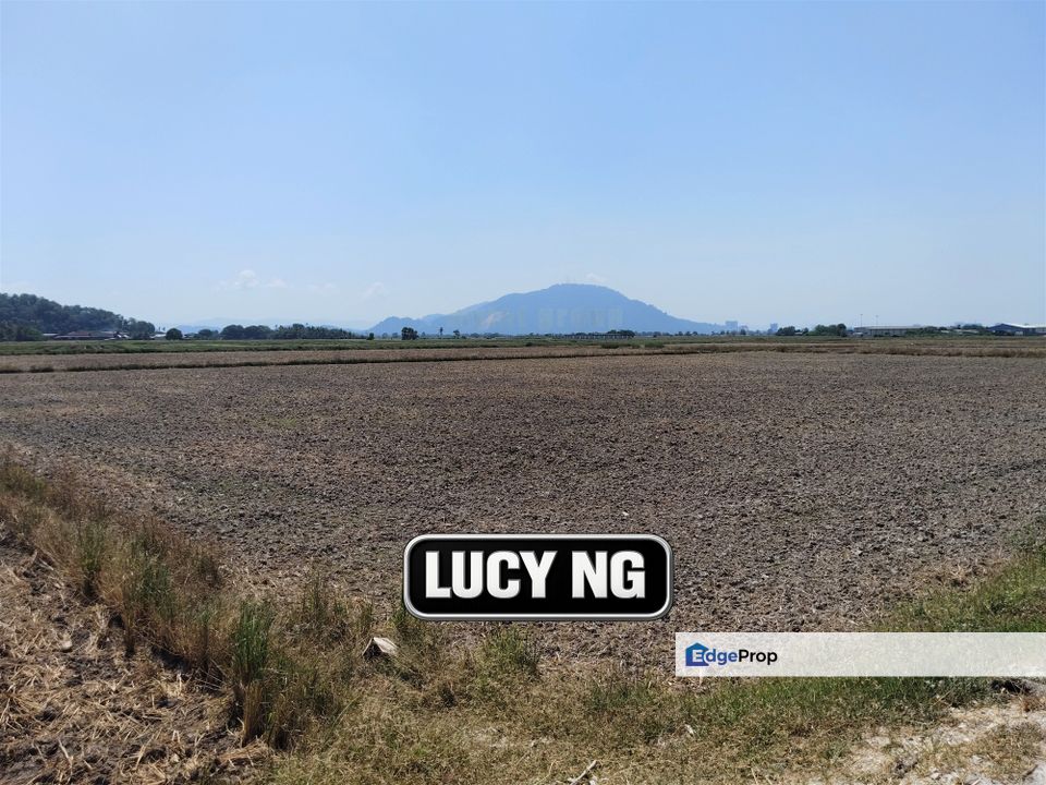 4.26 acres | Paddy Field | Agricultural Land | Permatang Pauh | Bukit Mertajam | Penang , Penang, Permatang Pauh