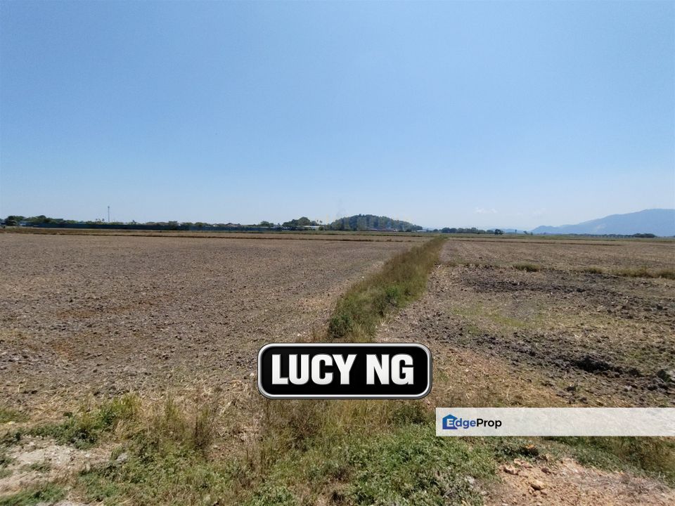 4.26 acres | Paddy Field | Agricultural Land | Permatang Pauh | Bukit Mertajam | Penang , Penang, Permatang Pauh