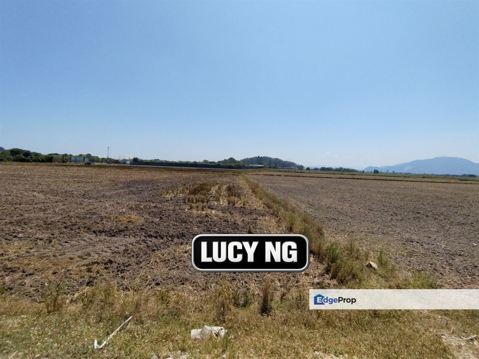 4.26 acres | Paddy Field | Agricultural Land | Permatang Pauh | Bukit Mertajam | Penang , Penang, Permatang Pauh