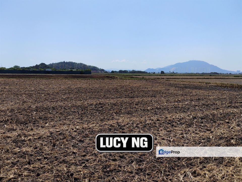 4.26 acres | Paddy Field | Agricultural Land | Permatang Pauh | Bukit Mertajam | Penang , Penang, Permatang Pauh