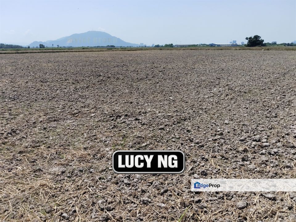 4.26 acres | Paddy Field | Agricultural Land | Permatang Pauh | Bukit Mertajam | Penang , Penang, Permatang Pauh