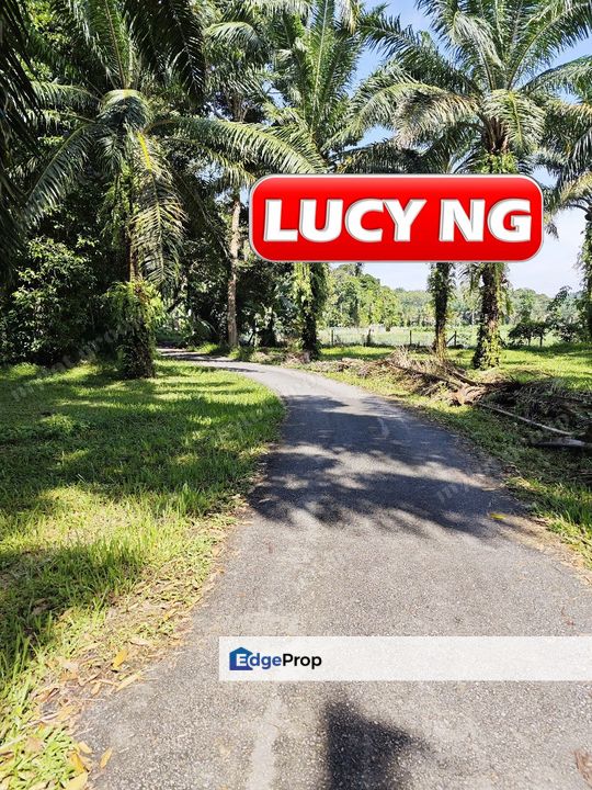 8.5419 acres | Agricultural Land | Sungai Kechil | Nibong Tebal | Penang t, Penang, Nibong Tebal