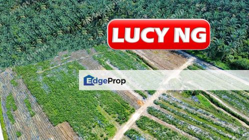 8.5419 acres | Agricultural Land | Sungai Kechil | Nibong Tebal | Penang t, Penang, Nibong Tebal