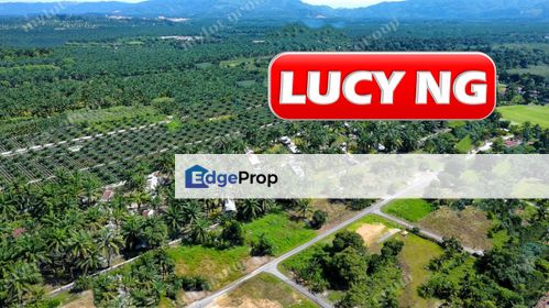 8.11 acres | Agricultural Land | Sungai Kechil | Nibong Tebal | Penang t, Penang, Nibong Tebal