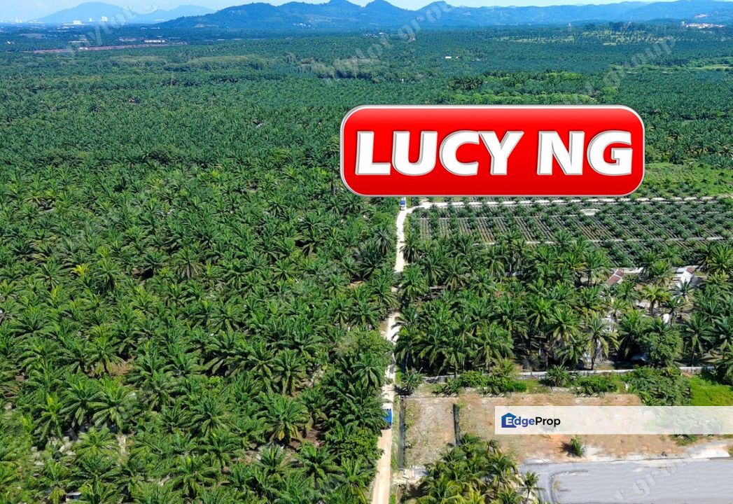 8.11 acres | Agricultural Land | Sungai Kechil | Nibong Tebal | Penang t, Penang, Nibong Tebal