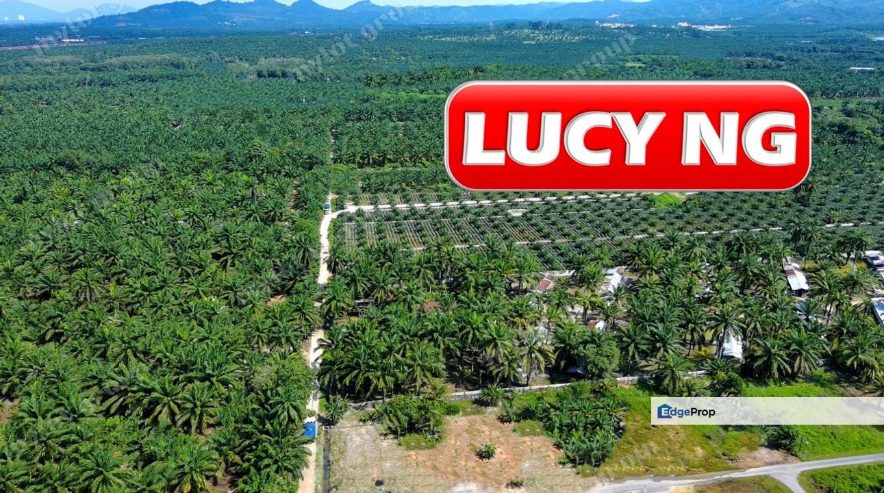 8.11 acres | Agricultural Land | Sungai Kechil | Nibong Tebal | Penang t, Penang, Nibong Tebal