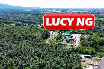 Nibong Tebal, Penang