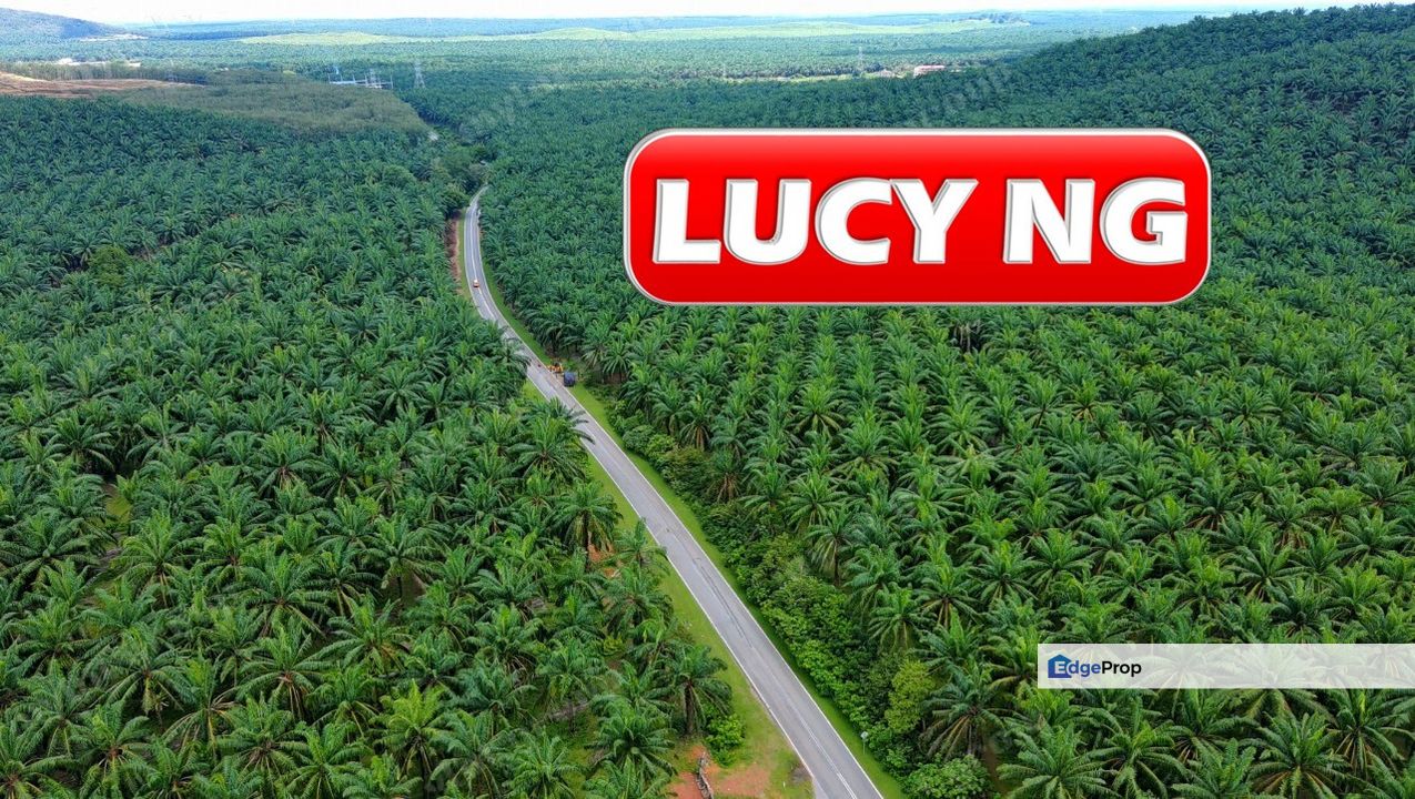 10.66 acres | Agricultural Land | Zoning Residential | Sungai Petani | Kedah t, Kedah, Sungai Petani