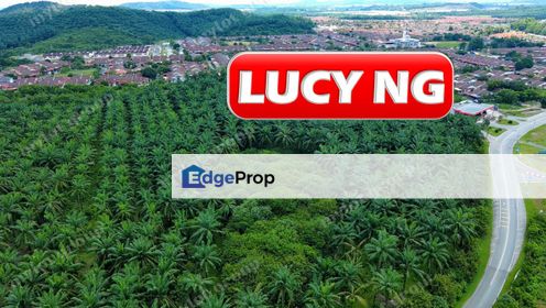 10.66 acres | Agricultural Land | Zoning Residential | Sungai Petani | Kedah t, Kedah, Sungai Petani