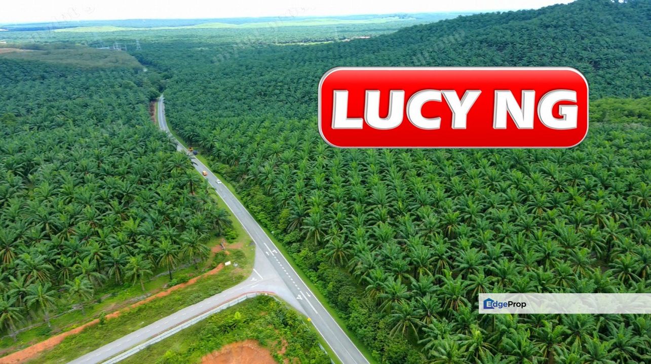 10.66 acres | Agricultural Land | Zoning Residential | Sungai Petani | Kedah t, Kedah, Sungai Petani