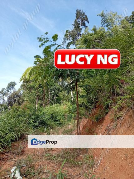 4.74 Acres | Agricultural Land | Pengkalan Hulu | Perak  2.56psf  k, Perak, Hulu Perak