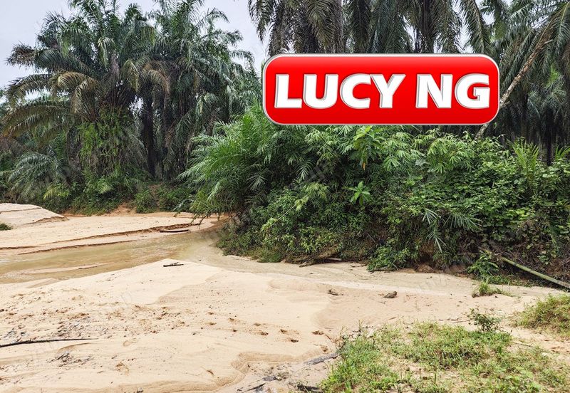 11.62 acres | Agricultural land | Palm oil Plantation | Selama | Perak  t