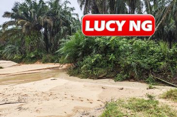 11.62 acres | Agricultural land | Palm oil Plantation | Selama | Perak  t