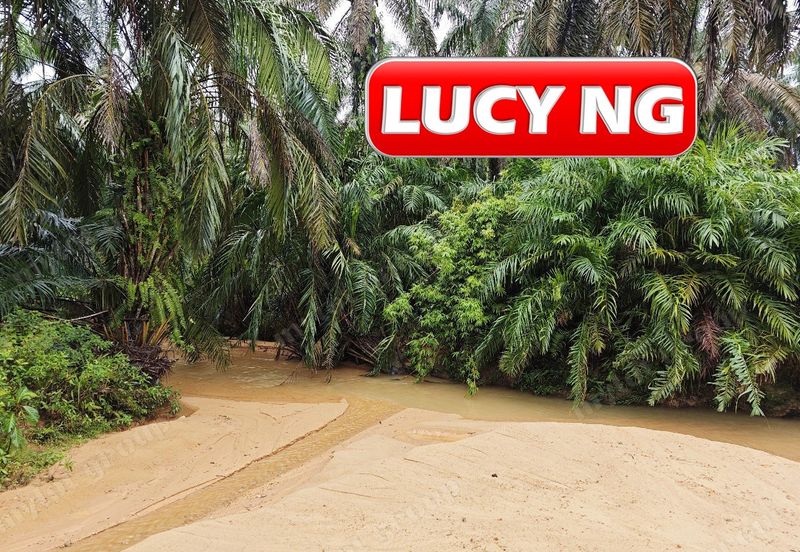 11.62 acres | Agricultural land | Palm oil Plantation | Selama | Perak  t