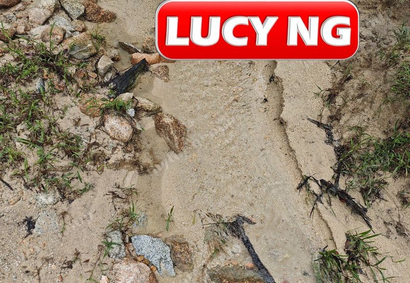 11.62 acres | Agricultural land | Palm oil Plantation | Selama | Perak  t