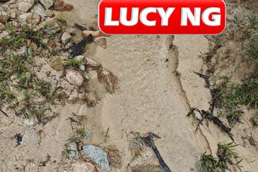 11.62 acres | Agricultural land | Palm oil Plantation | Selama | Perak  t