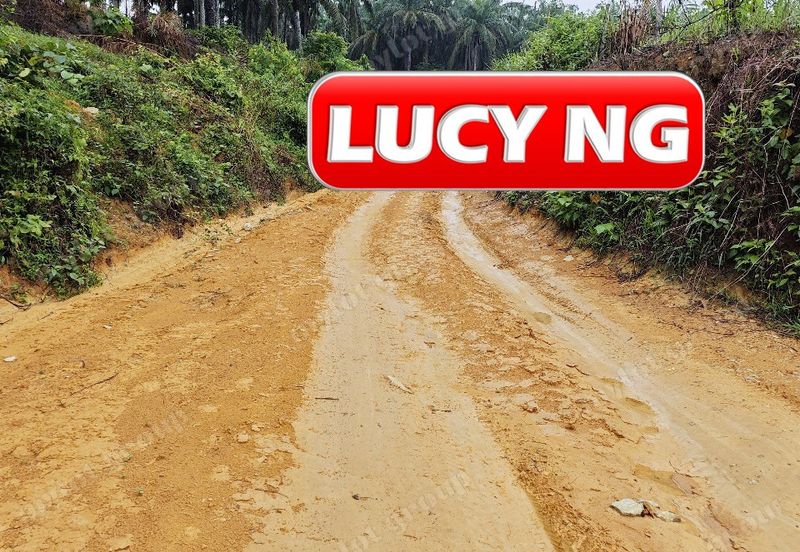 11.62 acres | Agricultural land | Palm oil Plantation | Selama | Perak  t