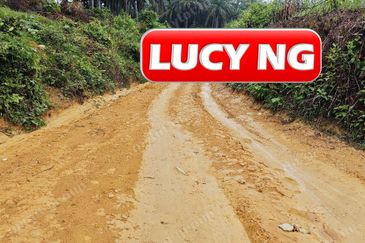 11.62 acres | Agricultural land | Palm oil Plantation | Selama | Perak  t